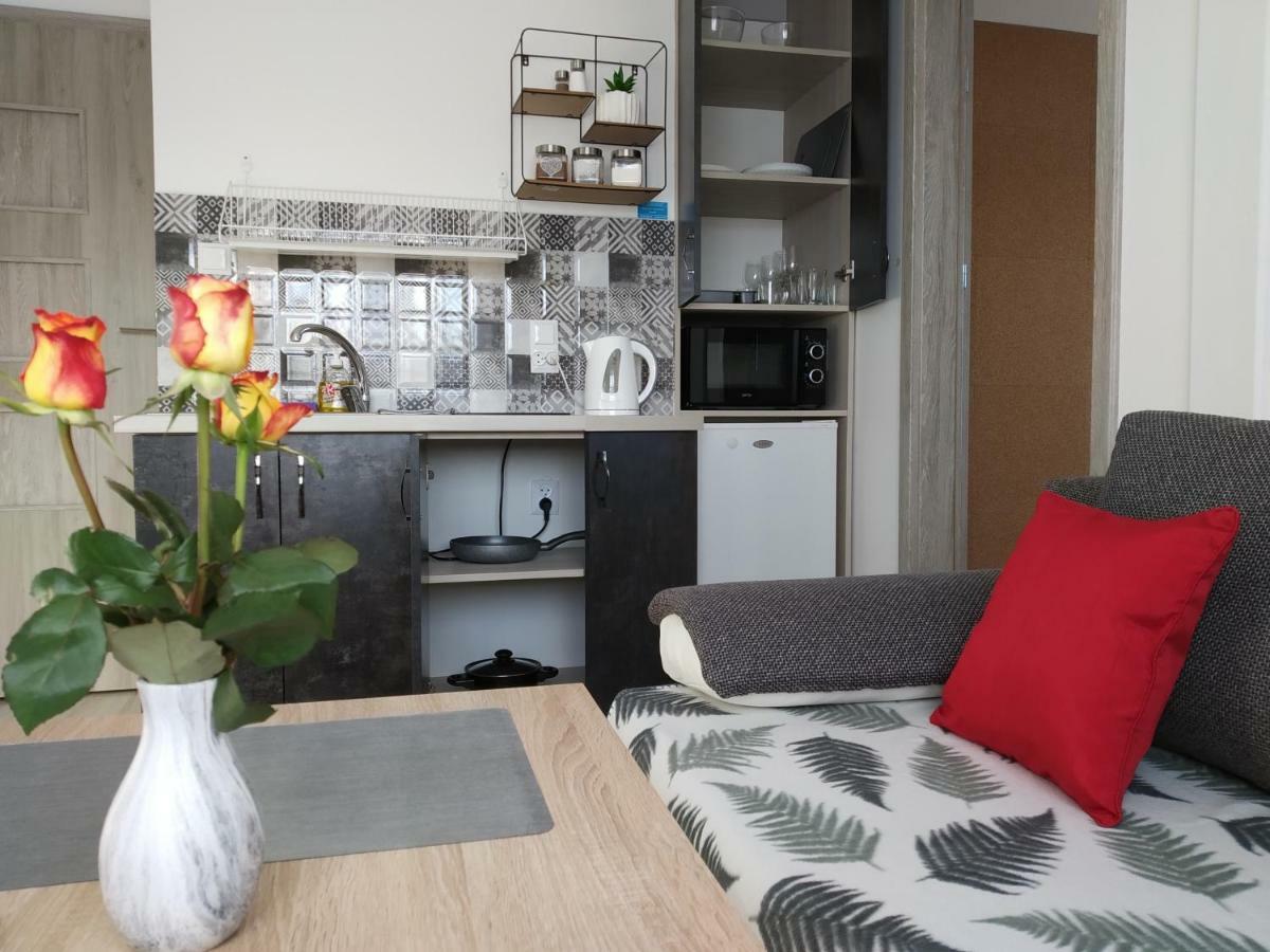 City Center Apartments - Apartamenty Nad Rzeka Netta アウグストゥフ エクステリア 写真